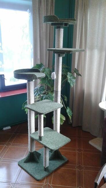 Drapak dla kota, solidna drewniana konstrukcja Amiculus 3-200