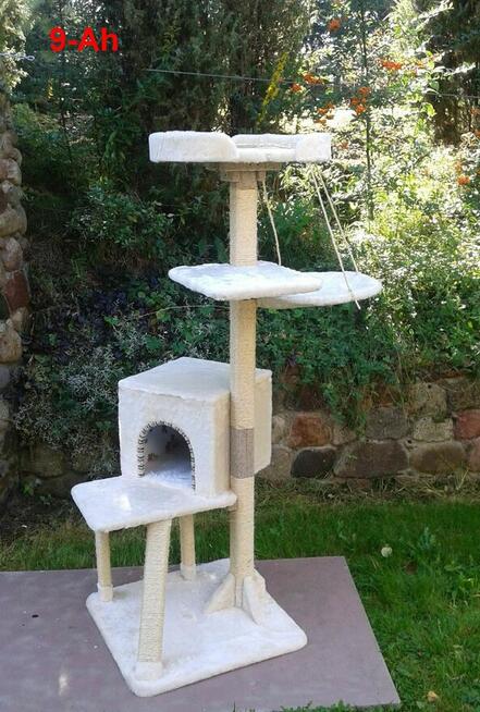 Drapak 1,6m dla dużego kota, solidne drewno Amiculus 9-Ah