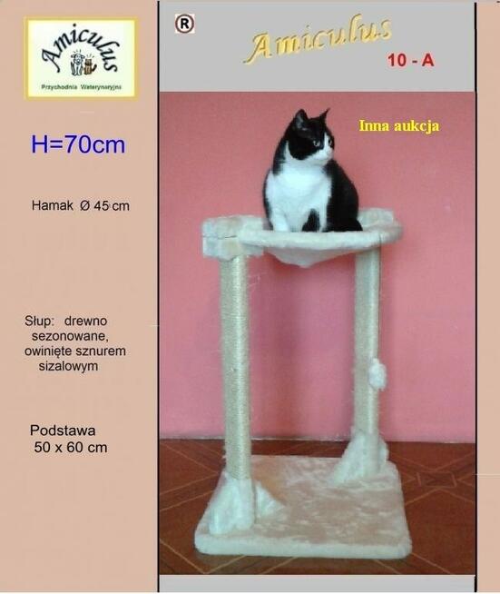 Drapak dla kota, solidne drewno Amiculus 8-DH