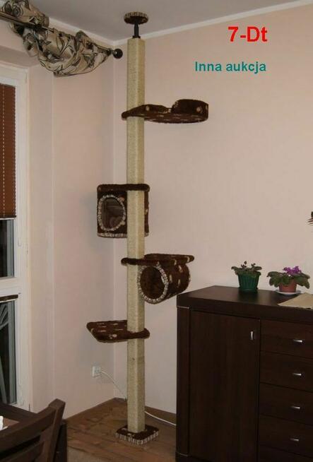 Drapak dla kota, sufitowy, drewniany- Amiculus 7-Ct