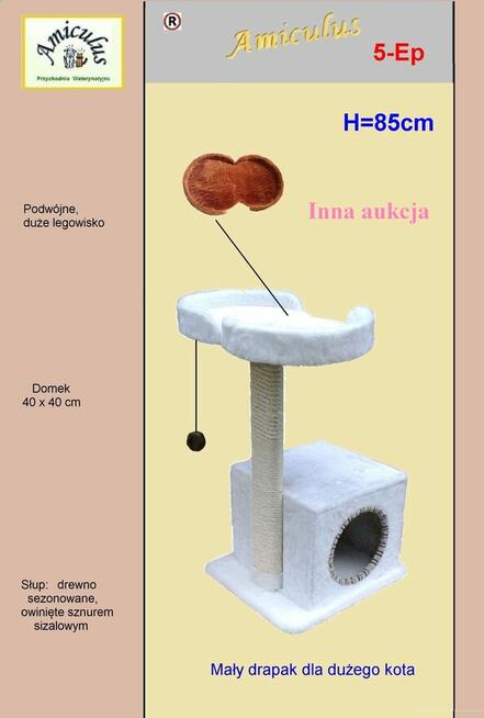 Drapak dla kota, solidne drewno Amiculus 8-DH