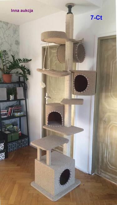 Drapak, naturalne drewno, sufitowy, 7g PRODUKT POLSKI