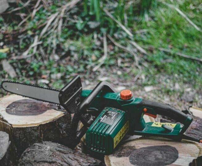 Piła elektryczna do drewna