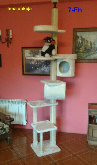 Drapak, naturalne drewno, sufitowy, 7g PRODUKT POLSKI