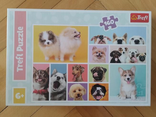 PUZZLE zestaw: MyLittlePony Mraculom Frozen Littles Pet Sho