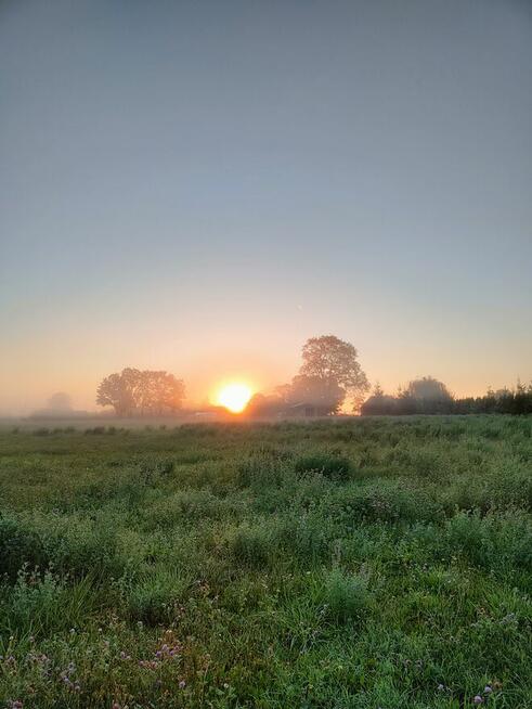 Działki z warunkami zabudowy