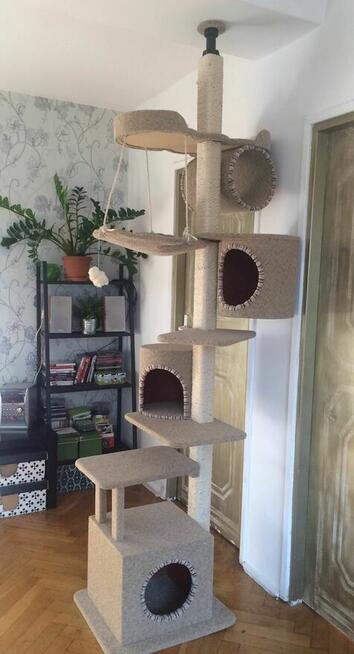 Drapak dla kota, sufitowy, drewniany- Amiculus 7-Ct