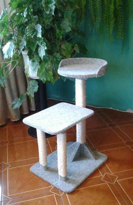 Drapak 1,6m dla dużego kota, solidne drewno Amiculus 9-Ah