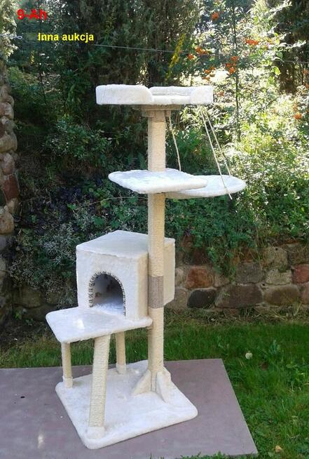 Drapak dla kota, sufitowy, drewniany- Amiculus 7-Ct