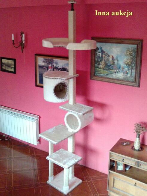 Drapak dla kota, sufitowy, solidne drewno Amiculus 7-A