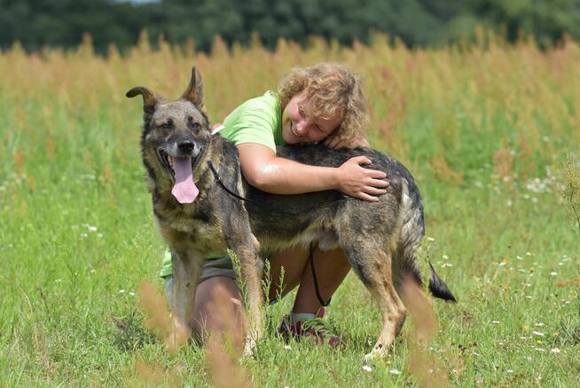 Tobi - w typie Owczarek niemiecki; uwielbia spacery i wodę