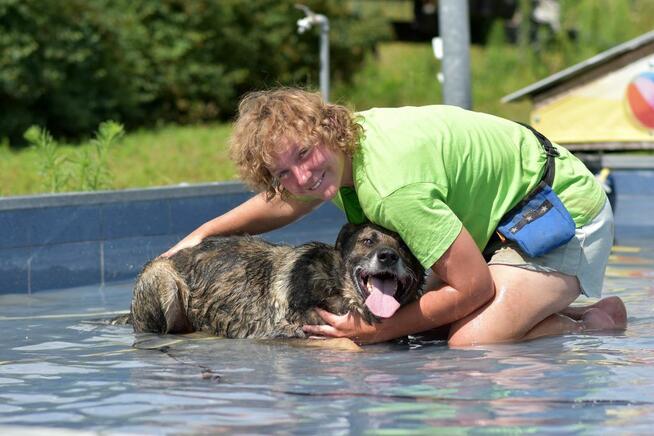 Tobi - w typie Owczarek niemiecki; uwielbia spacery i wodę