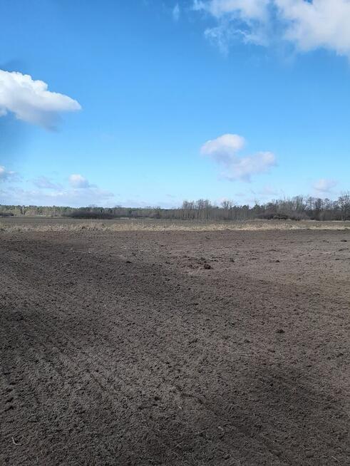 Oddam w dzierżawę pole rolne 70ha