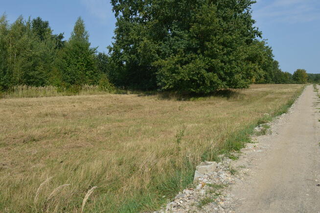 Działka * SPRZEDAŻ * Mielec*ul. Żegoty* 13,01 a