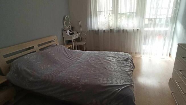 Ciche mieszkanie w centrum jednocześnie na parterze i 1. p.