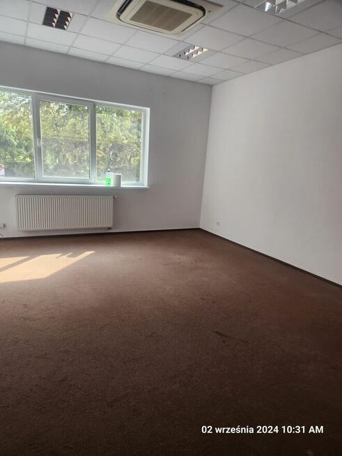 DO WYNAJECIA 45 mkw lokal biurowy Płock Ul. Miodowa 1