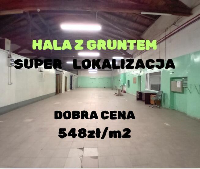 HALA Z GRUNTEM-NISKA CENA