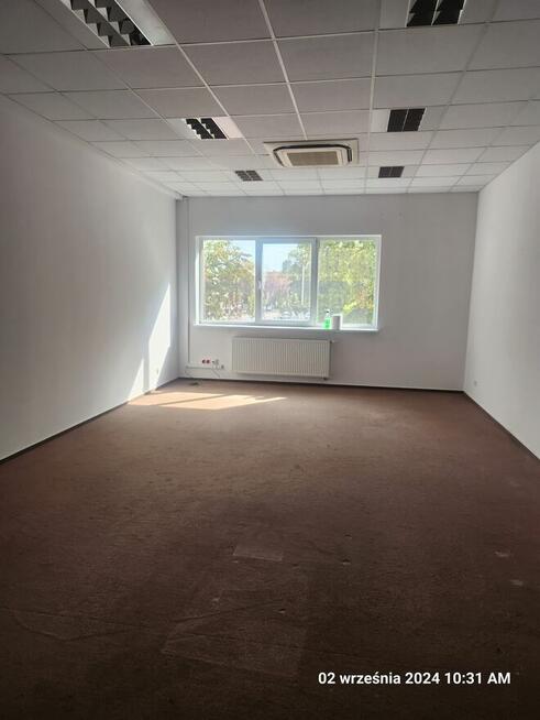 DO WYNAJECIA 45 mkw lokal biurowy Płock Ul. Miodowa 1