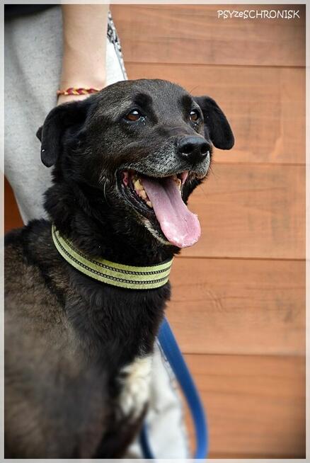 Tolek – tak uśmiechniętej mordki świat nie widział