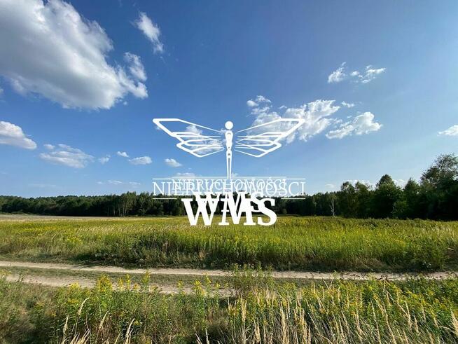 Działka rolna Wysoka Głogowska