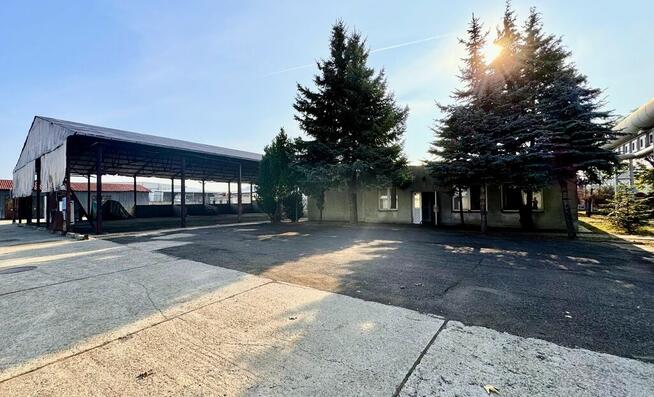 Komercja, plac utwardzony 0,59 ha, Staromieście