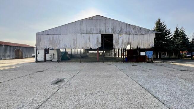 Komercja, plac utwardzony 0,59 ha, Staromieście