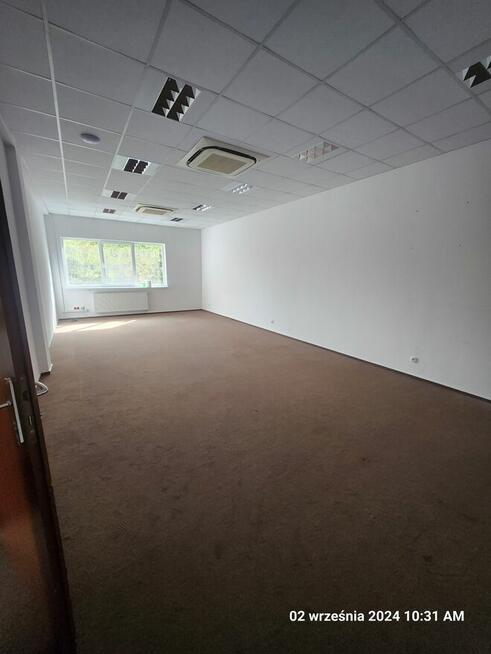 DO WYNAJECIA 45 mkw lokal biurowy Płock Ul. Miodowa 1
