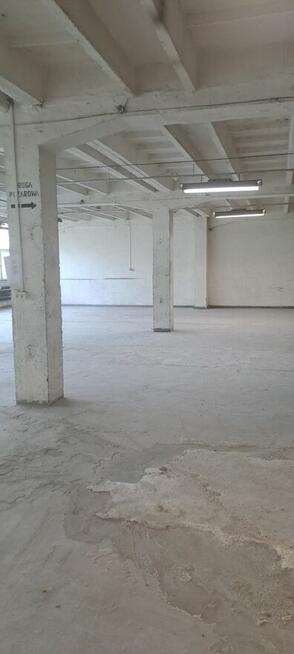 Zarządca wynajmie magazyn 240 m2
