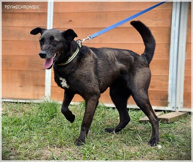 Tolek – tak uśmiechniętej mordki świat nie widział