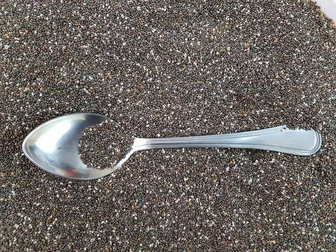 Hurtownia nasion chia