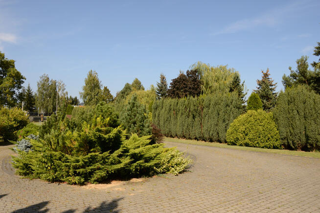 Lokal gastronomiczny z dużym domem.