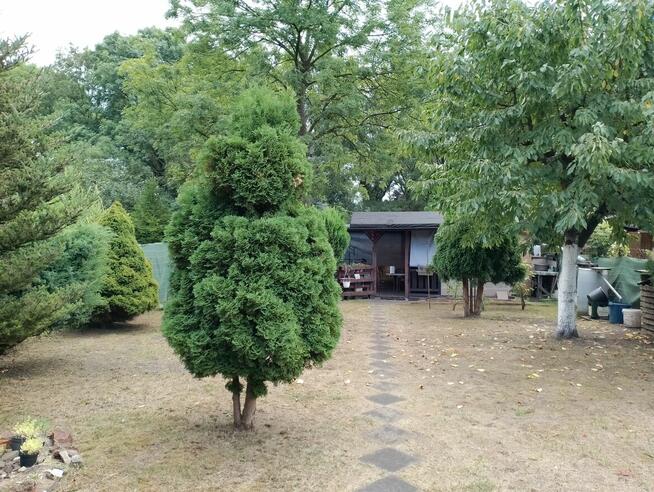 Sprzedam działke ROD Gliwice Wyspańskiego