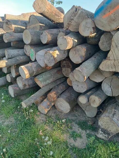 Tanie drewno opałowe kominkowe