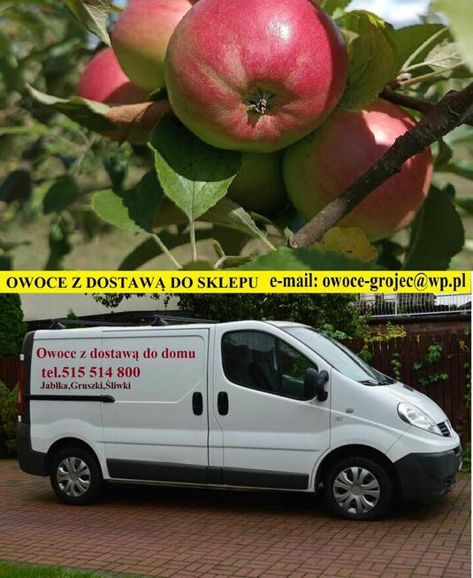 Jabłka i gruszki tanio sprzedam tel.515514800