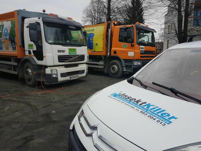 InsektKiller Dezynfekcja Dezynsekcja Deratyzacja