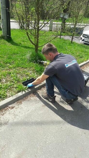 InsektKiller Dezynfekcja Dezynsekcja Deratyzacja