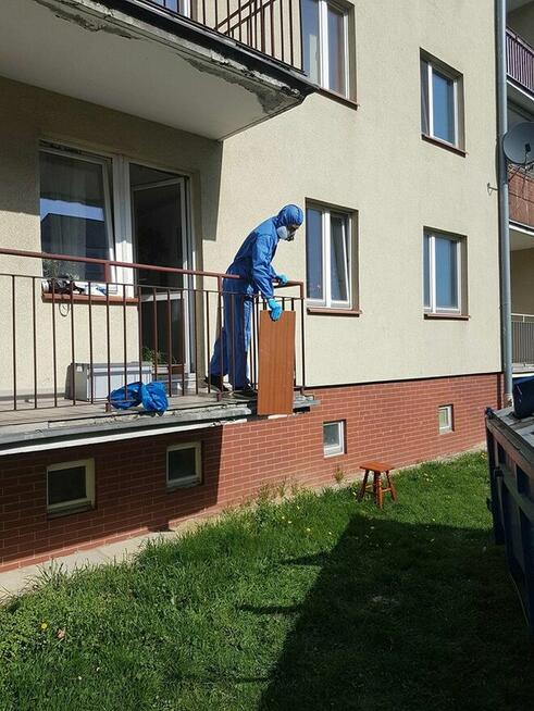 InsektKiller Dezynfekcja Dezynsekcja Deratyzacja