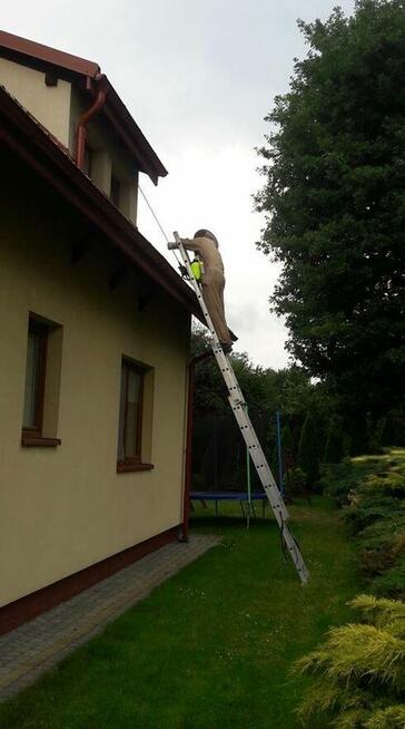 InsektKiller Dezynfekcja Dezynsekcja Deratyzacja