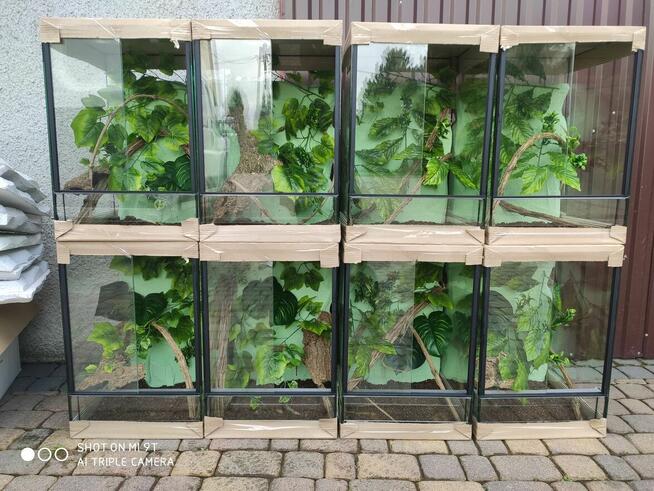 Terrarium 40/40/60 z wystrojem