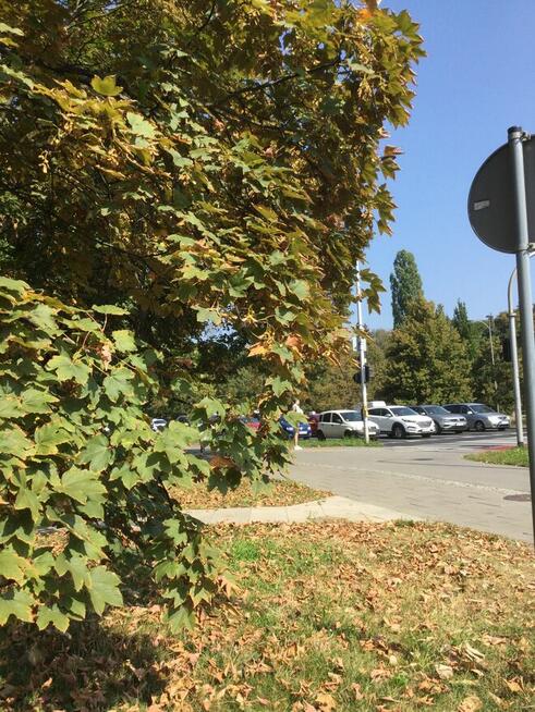WYNAJMĘ BEZPOŚREDNIO KAWALERKĘ - WARSZAWA OCHOTA
