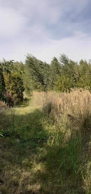 Działka rekreacyjna nad jeziorem (963 m2, prąd, woda) Chodecz