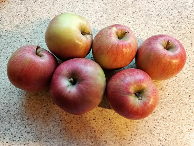 Gruszki klapsa cena 1,50 zł.Jabłka champion cena 1,50 zł