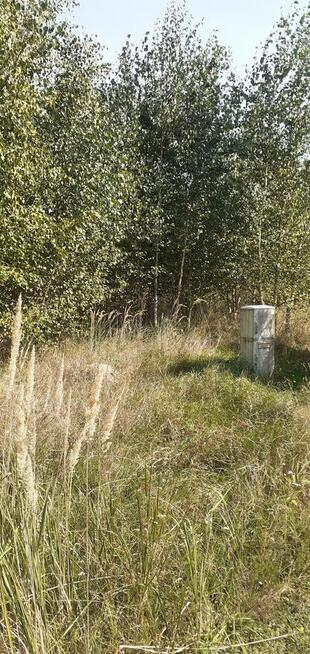 Działka rekreacyjna nad jeziorem (963 m2, prąd, woda) Chodecz