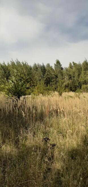 Działka rekreacyjna nad jeziorem (963 m2, prąd, woda) Chodecz