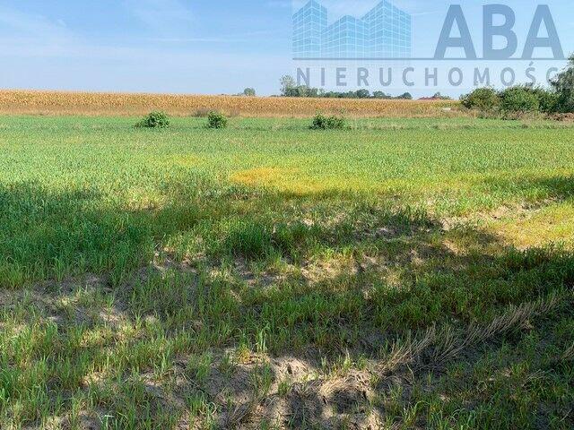 Złotkowy gm. Rychwał- 3 działki budowlane na sprzedaż