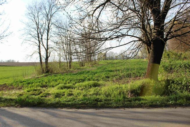 Atrakcyjna dz. budowlana przy asfalcie z dostępem do mediów