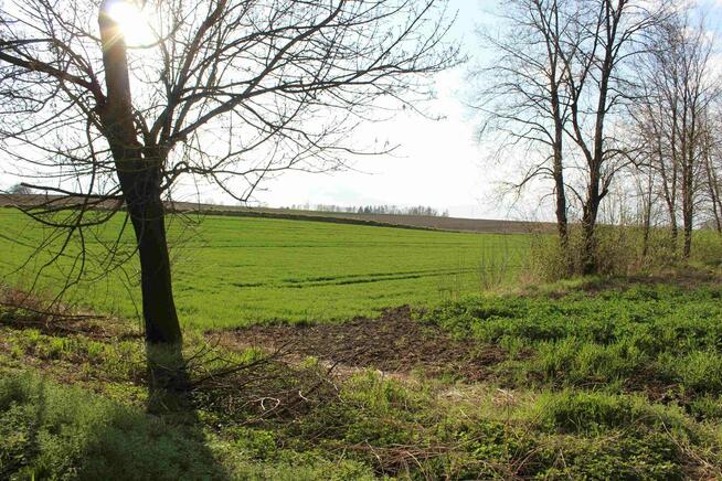 Atrakcyjna dz. budowlana przy asfalcie z dostępem do mediów