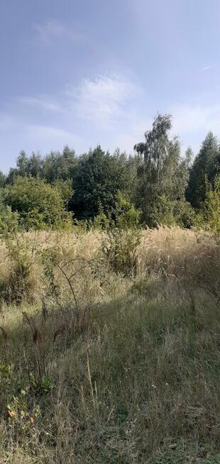 Działka rekreacyjna nad jeziorem (963 m2, prąd, woda) Chodecz