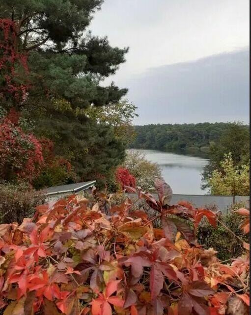 Działka rekreacyjna nad jeziorem (963 m2, prąd, woda) Chodecz