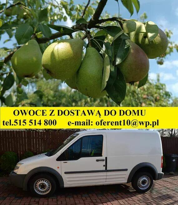 Gruszki klapsa cena 1,50 zł.Jabłka champion cena 1,50 zł